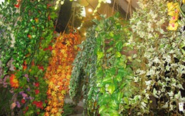 Chọn hoa lụa chơi Tết