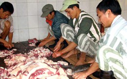 Ăt tết Kỷ Sửu cùng phạm nhân trại Nam Hà 