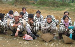 Mùa xuân với phạm nhân trại giam Bình Điền 