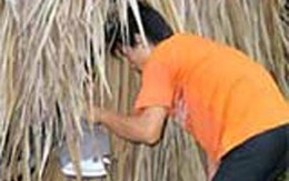 Đi mua dâm, bị trộm mất quần 