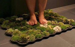 Thảm lau chân bằng... rêu