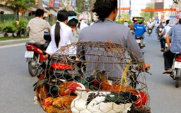 Quy định rõ trách nhiệm cá nhân người đứng đầu