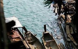 Hải Phòng: 2 con bạc ngã xuống sông chết đuối?