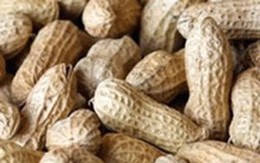 Chữa dị ứng bằng lạc