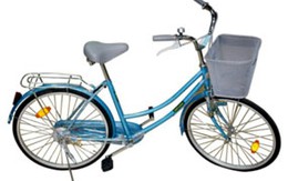Phạm tội ở tuổi 17 