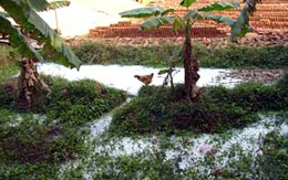 Lại một cô gái bị cưỡng hiếp và sát hại dã man