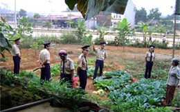 Vệ sỹ Công ty bảo hiểm Bảo Minh đánh người nhập viện