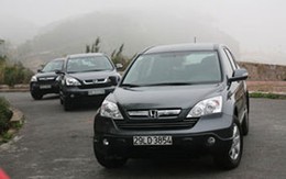 Honda kiểm tra ô tô miễn phí