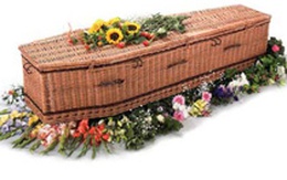 Mua cá cảnh, nhận xác chết