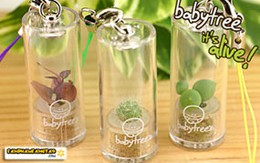 Hệ sinh thái mini kỳ diệu