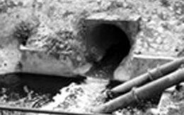 Kẻ giết vợ sắp hầu tòa