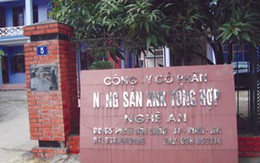 Công ty CPNSXNK Tổng hợp: Những vi phạm của ông giám đốc
