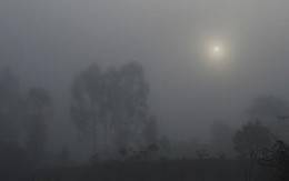 Viêm đường hô hấp do sương mù