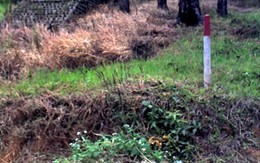 Hiếp bạn chát trên đồi vắng