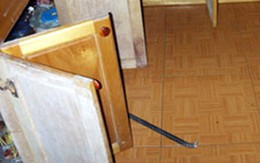 Ô sin "dọn tủ" chủ nhà