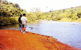 Độc đáo hương vị cá tự nhiên đất Tây Nguyên