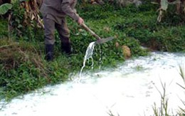 Say rượu, bợm nhậu quẳng bạn xuống mương