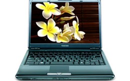 Laptop Toshiba gọn gàng giá bình dân