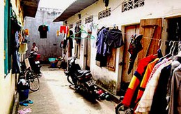 Láng giềng cũng không tha!