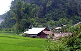 "Sát thủ" bịt mặt bắn chết một phụ nữ
