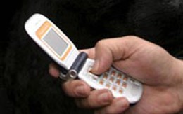 5 đồ dùng ẩn chứa nhiều vi khuẩn nhất