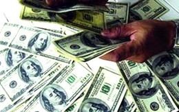 Lừa 2 triệu USD để đánh bạc