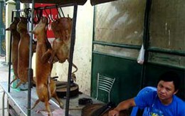 Hà Nội: Đóng cửa nhiều cơ sở kinh doanh thịt chó