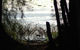 Cướp tài sản rồi hiếp dâm