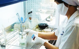 Vi khuẩn tả đang biến đổi thành độc lực cao