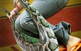Chơi nhảy dây bằng... rắn
