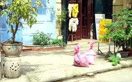 Vụ truy sát trên phố Pháo Đài Láng: Nhóm hung thủ sa lưới
