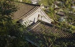 Đổi tên, hoặc bị xóa sổ!