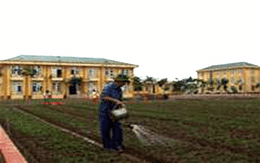 Giám đốc Trung tâm GDLĐXH số 5 bị tố cáo hành xử ngang ngược