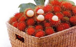 Quả chôm chôm mát bổ, dưỡng da