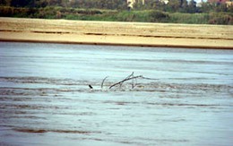 Một xác phụ nữ khỏa thân trôi trên sông