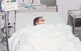 Mùa hè: Đề phòng ong đốt, rắn cắn
