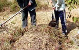 Đâm chết anh ruột tại nghĩa địa