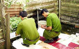 Cãi nhau, chồng sát hại vợ