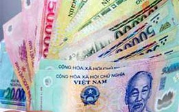Bị bắt vì lừa xin việc