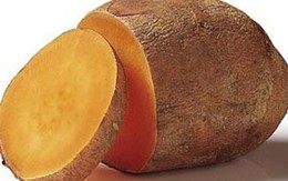 Thực phẩm miễn dịch tốt cho cơ thể