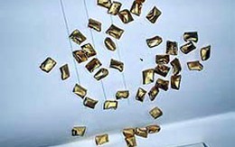 Giấu 218 gói ma túy trong "chỗ kín"
