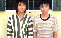 Trộm bò làm lễ vật cầu hôn