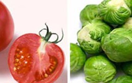 Những thực phẩm tốt cho trí não