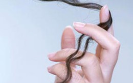 Các bài thuốc chữa rụng tóc