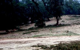 Đã cướp của còn hiếp dâm tập thể