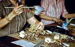 Uống thuốc đông dược trộn tây dược: Coi chừng thiệt mạng
