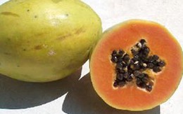 Loại trái cây nào tốt nhất cho cơ thể?