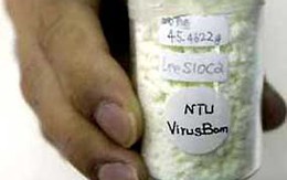 Đã có chất tiêu diệt virus H1N1