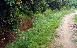 Hai bố con bị đánh trọng thương