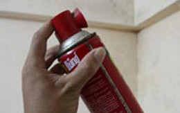 Côn trùng không chết, người nhiễm độc
